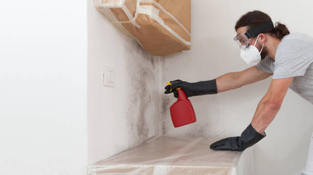 Professional Mold Removal technician working in Missouri City, TX