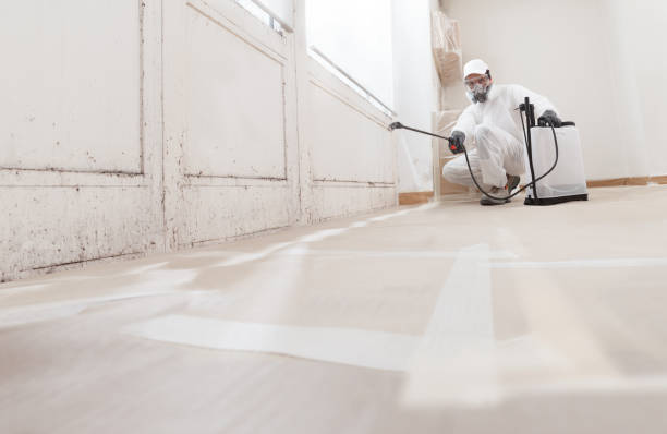 24/7 Emergency Mold Removal experts in Missouri City, TX